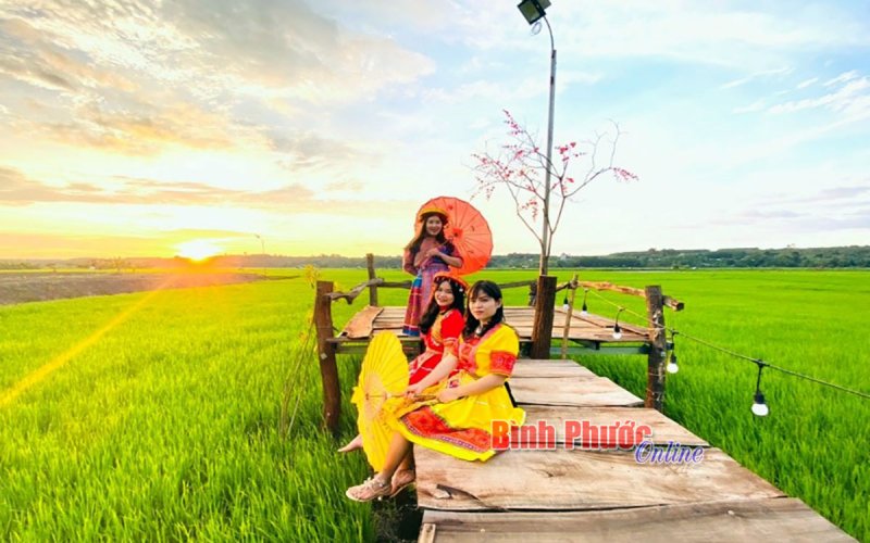 “Chuyển mình” từ nông nghiệp sinh thái