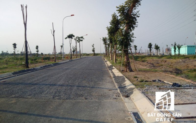 “Cò đất” phải có chứng chỉ hành nghề