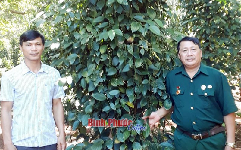 Cựu chiến binh Lê Văn Cảnh - giỏi kinh doanh, giàu lòng nhân ái