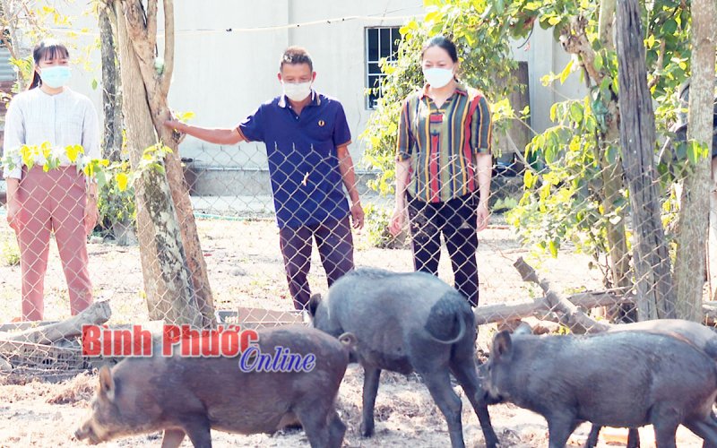 Đề án 01 - nâng chất nông thôn mới