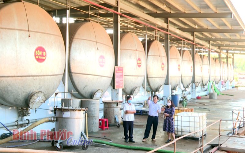 Đổi mới công nghệ - doanh nghiệp vươn tầm (Bài cuối)