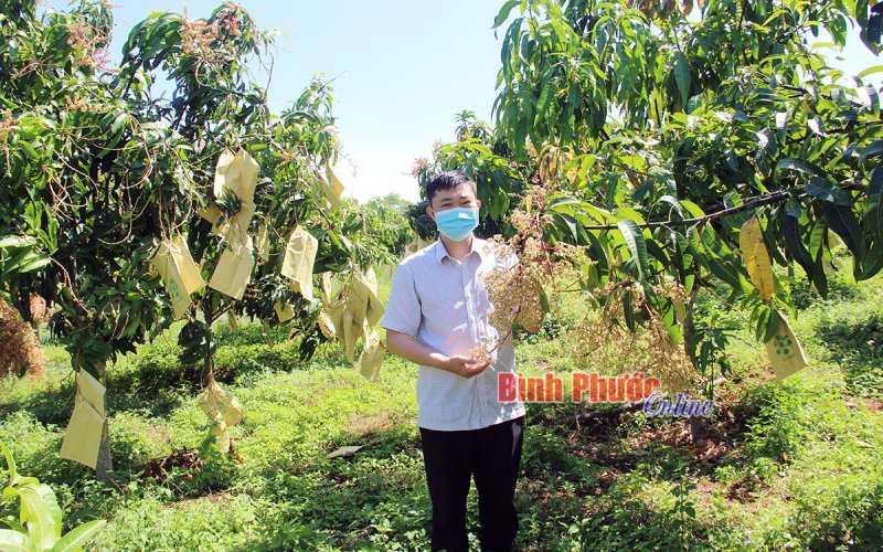 Giải pháp giảm nghèo ở Bù Đăng