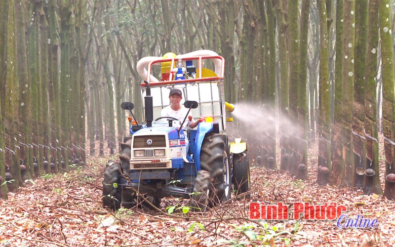 Trụ đỡ cho nông nghiệp vươn tầm