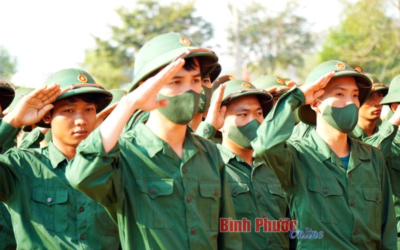 “Anh là lá trên cành ngại chi gió mưa”