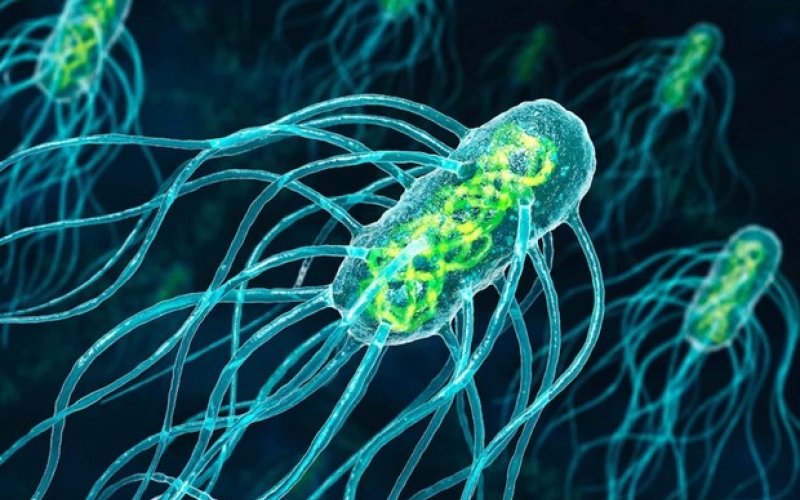 Biến đổi khí hậu làm gia tăng các siêu vi khuẩn kháng thuốc kháng sinh