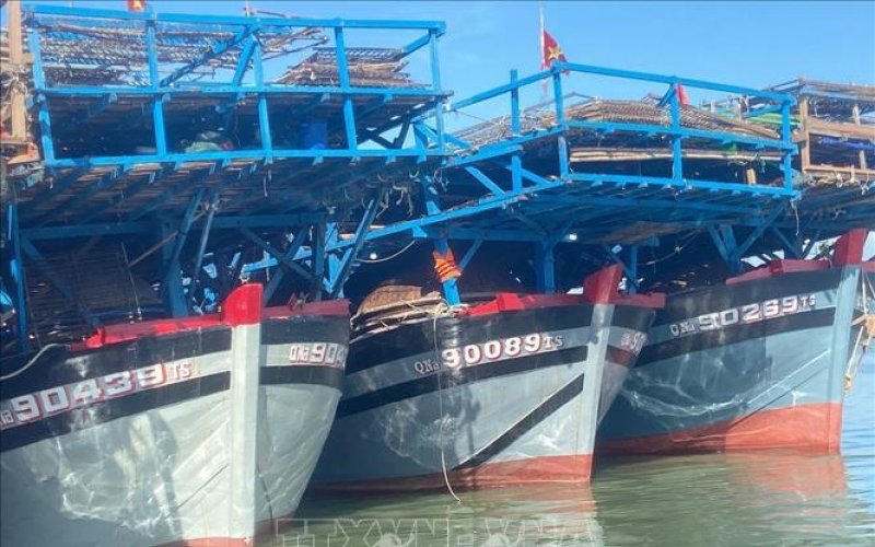 Chống khai thác hải sản bất hợp pháp, quyết tâm gỡ cảnh báo 'Thẻ vàng'