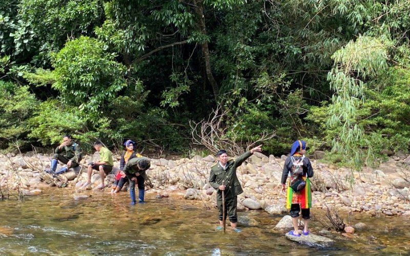 Để những cánh rừng thêm xanh