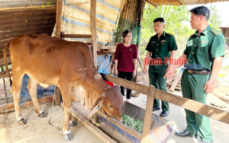 Gắn kết nghĩa tình quân - dân