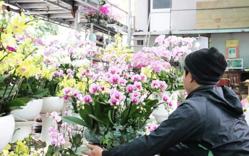 Khởi sắc thương mại, dịch vụ