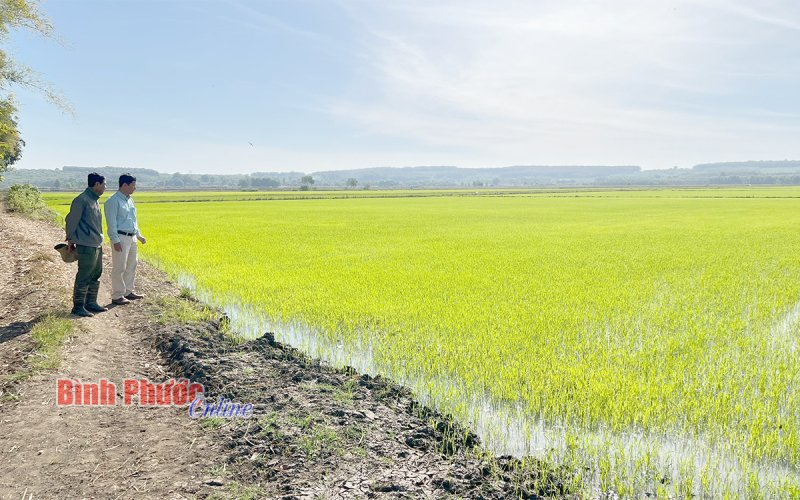 Phát huy các công trình thủy lợi, cấp nước tập trung