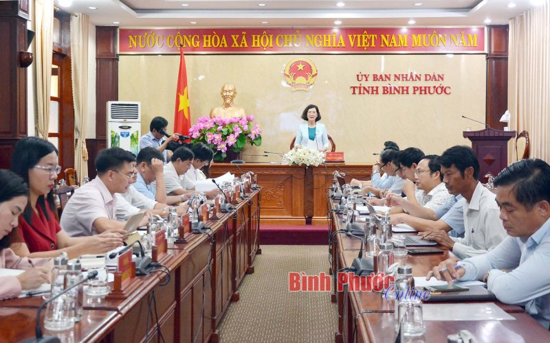 Tăng tốc giải ngân nguồn vốn Chương trình MTQG vùng dân tộc thiểu số và miền núi