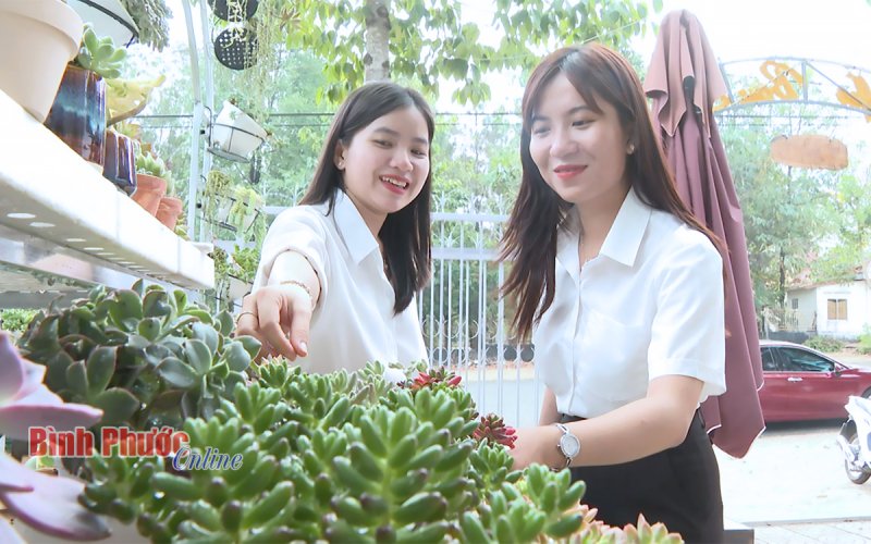 Từ đam mê đến mô hình kinh doanh độc đáo