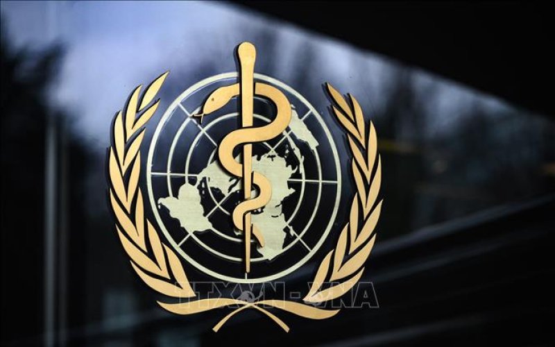 WHO thúc đẩy ứng phó mạnh mẽ và công bằng hơn trong đại dịch