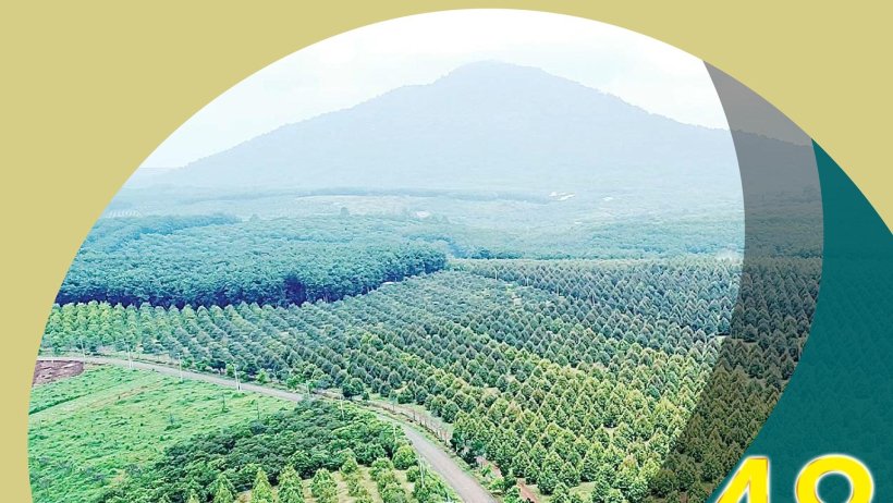 Bình Phước: Đã có 48 mã số vùng trồng được cấp