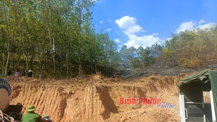 Cháy vườn do bất cẩn