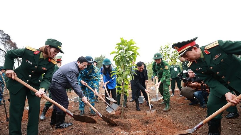 Chỉ thị về tổ chức Tết trồng cây và tăng cường quản lý, bảo vệ, phát triển rừng
