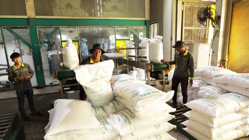 Cơ hội cho doanh nghiệp khi Indonesia tiếp tục nhập bổ sung 1,6 triệu tấn gạo