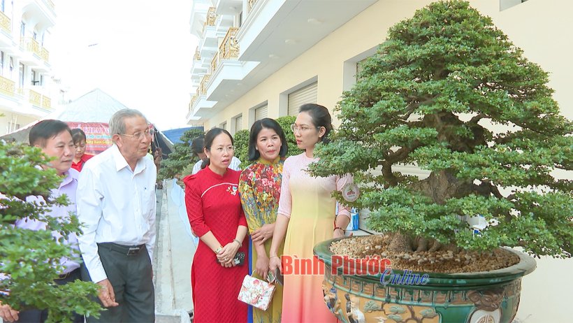 Đô thị trẻ vào xuân