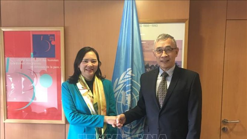 Đưa quan hệ hợp tác giữa Việt Nam và UNESCO tiếp tục đi vào chiều sâu
