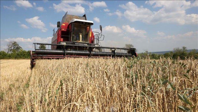Hiệp hội nông dân EU kêu gọi siết chặt nhập khẩu nông sản từ Ukraine