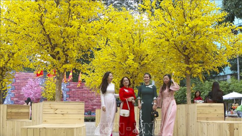 Thời tiết mùng 2 Tết (11-2): Bắc Bộ trời rét, Trung Bộ có mưa vài nơi, Nam Bộ nắng nóng