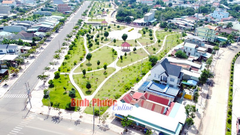Xuân mới, kỳ vọng mới
