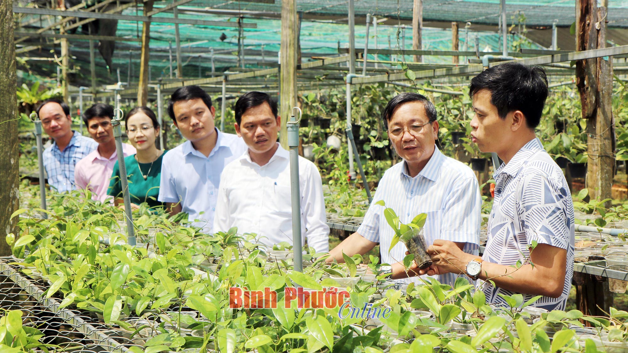 'Bệ đỡ' thoát nghèo 