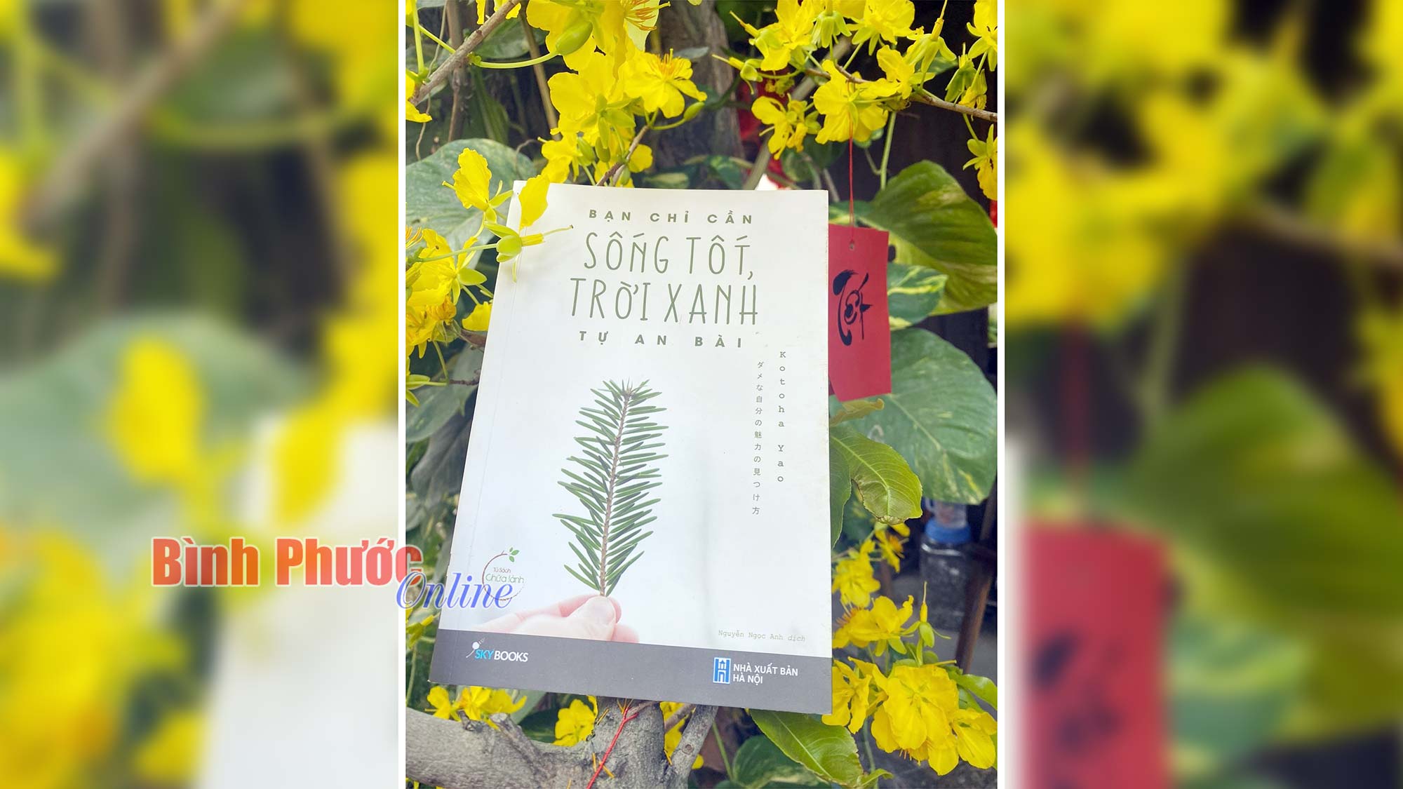 Chỉ cần sống tốt…