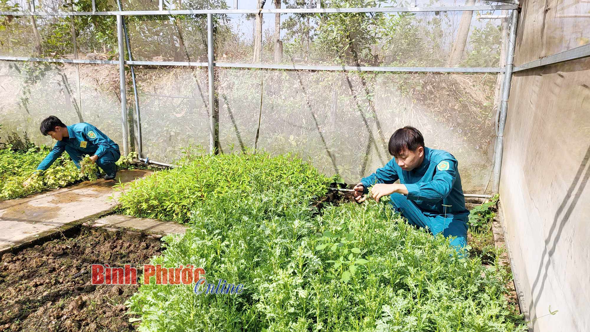 Hậu phương vững chắc