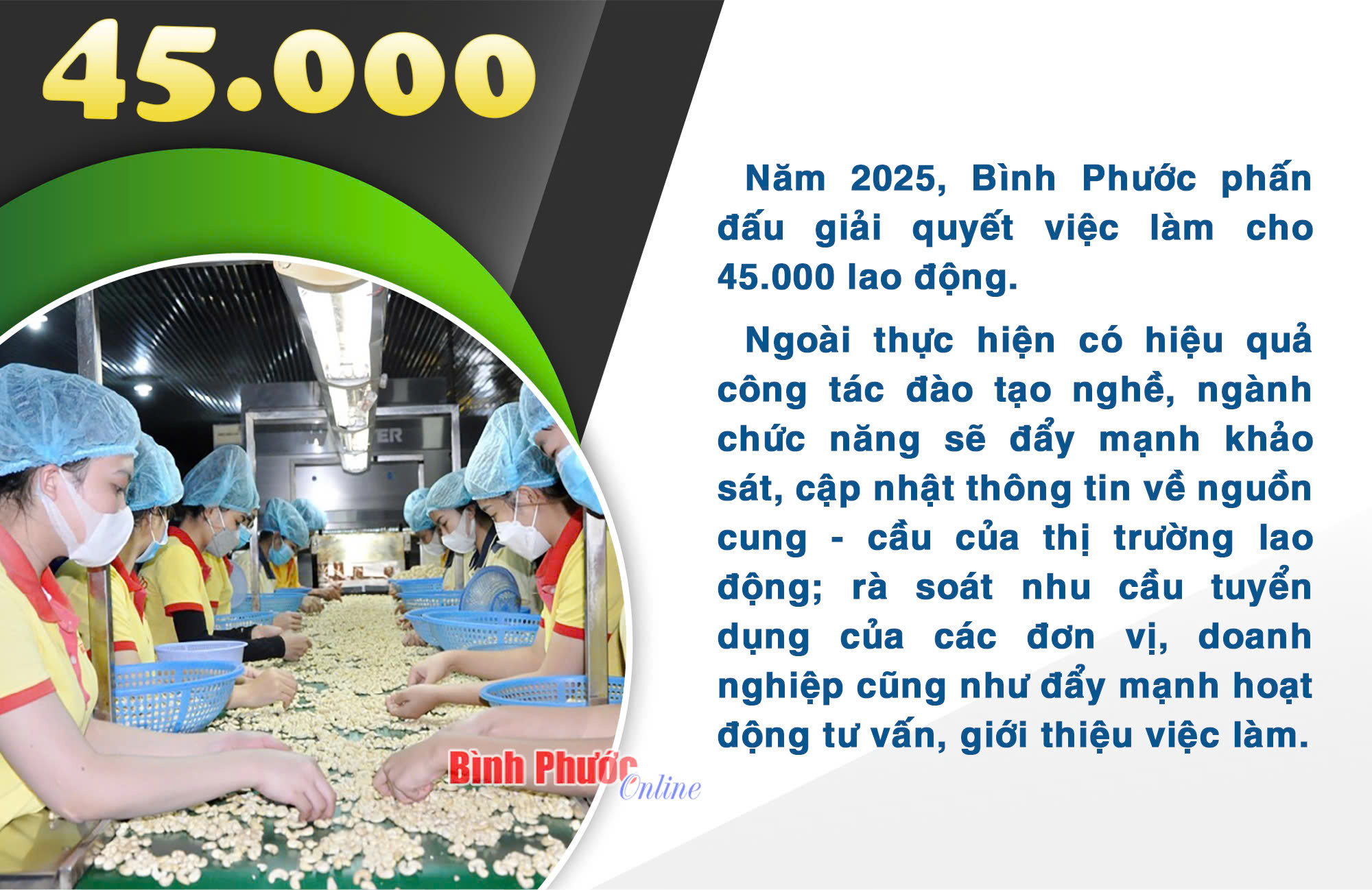 Năm 2025 Bình Phước phấn đấu giải quyết việc làm cho 45.000 lao động