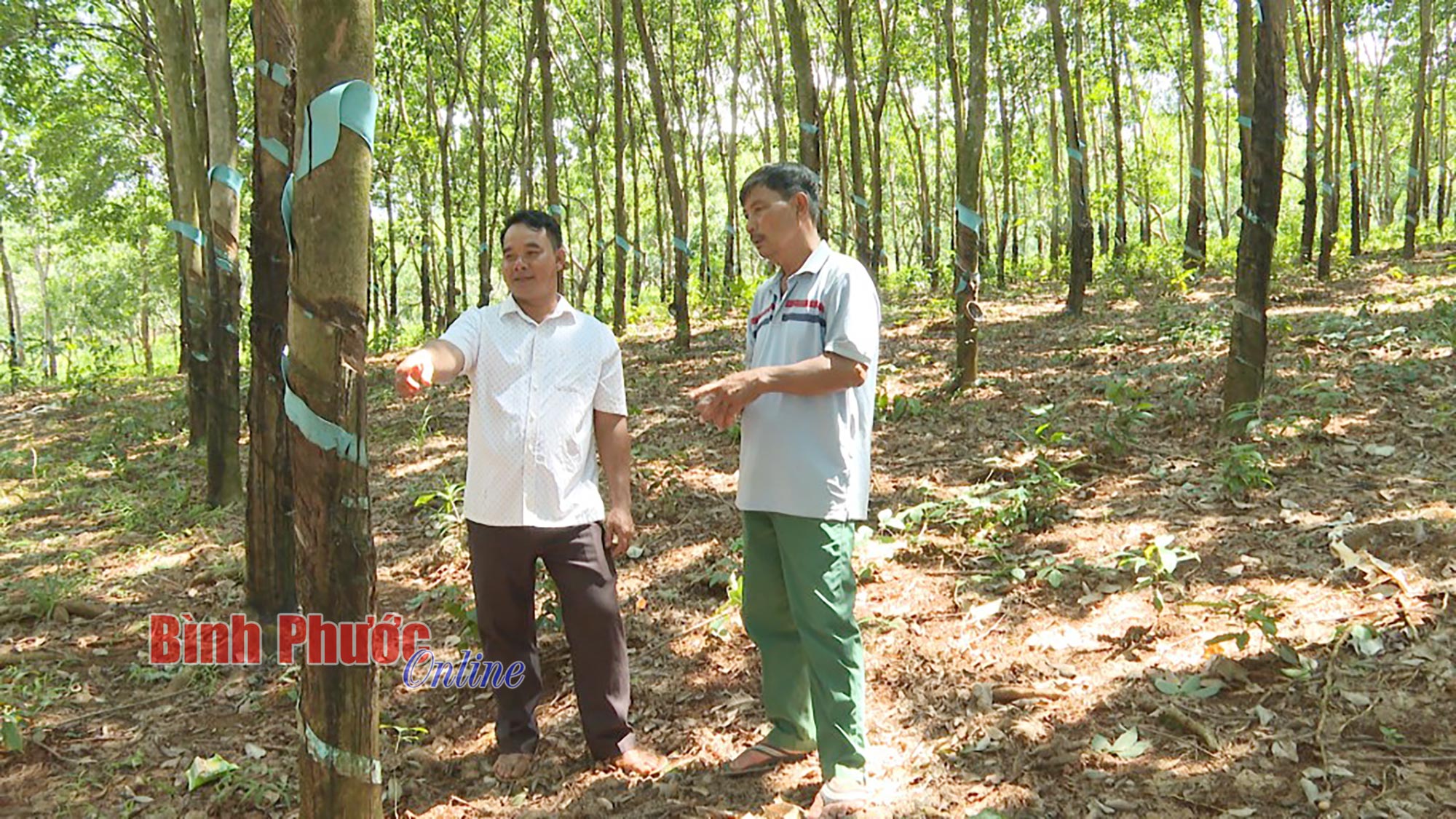 Tận tụy vì sự phát triển chung