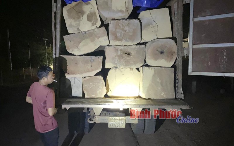 Bắt giữ xe tải chở khoảng 5m³ gỗ không có giấy tờ