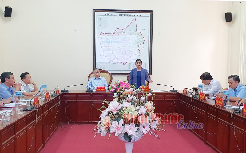 Báo cáo tiền khả thi tuyến cao tốc TP. Hồ Chí Minh - Bình Dương - Bình Phước