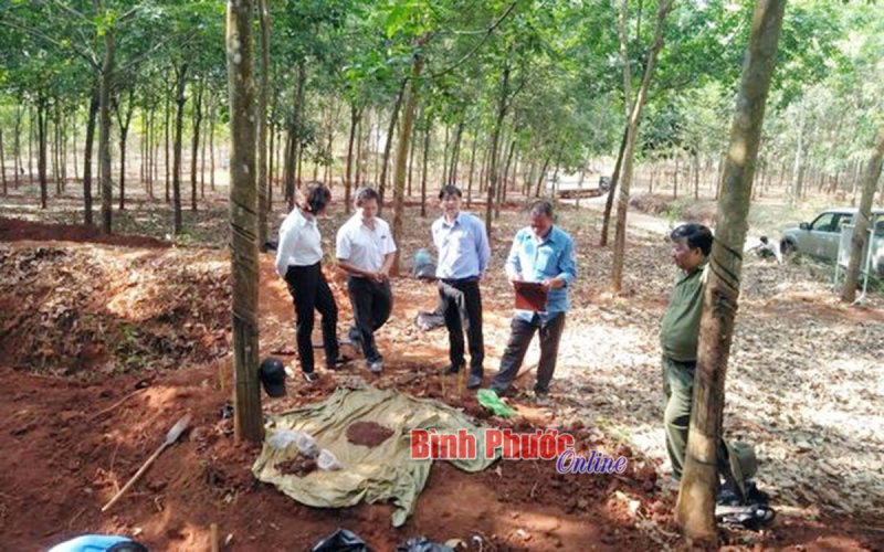 Đội K72 quy tập thêm 6 bộ hài cốt liệt sĩ