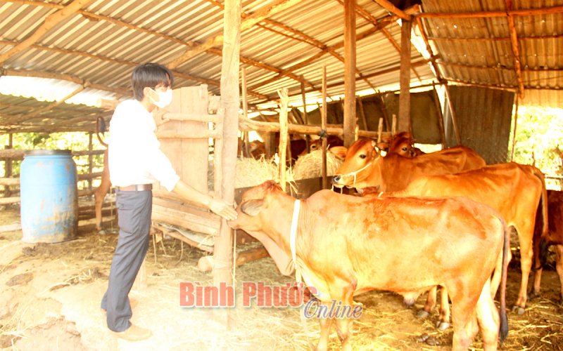 Đổi thay ở vùng đặc biệt khó khăn - Bài 2