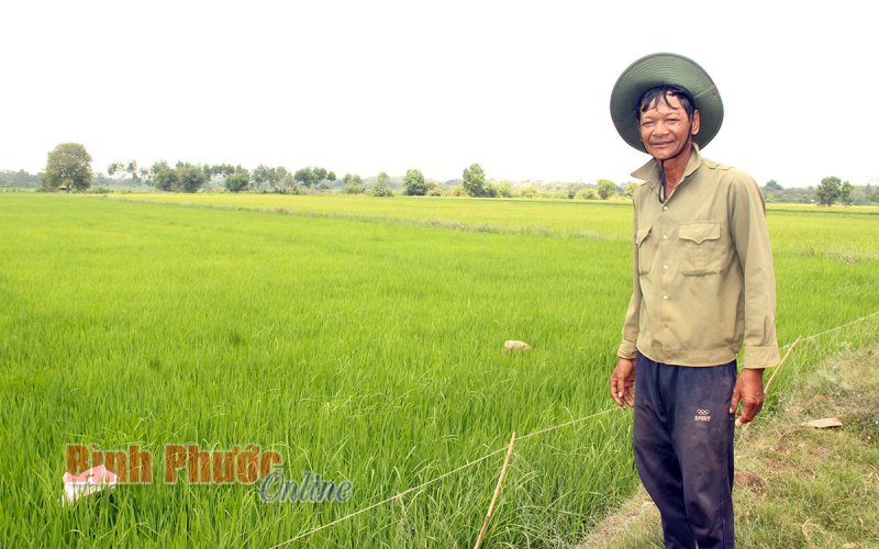 Đổi thay ở vùng đặc biệt khó khăn - Bài 3