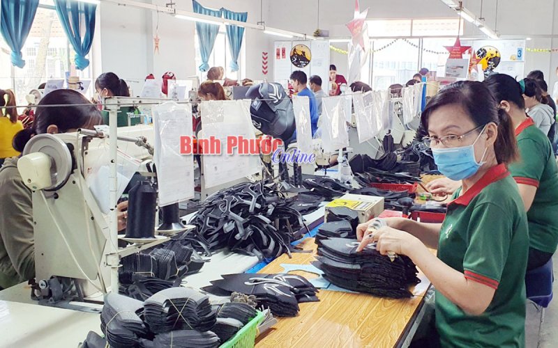 Dồn lực tổng điều tra kinh tế năm 2021 