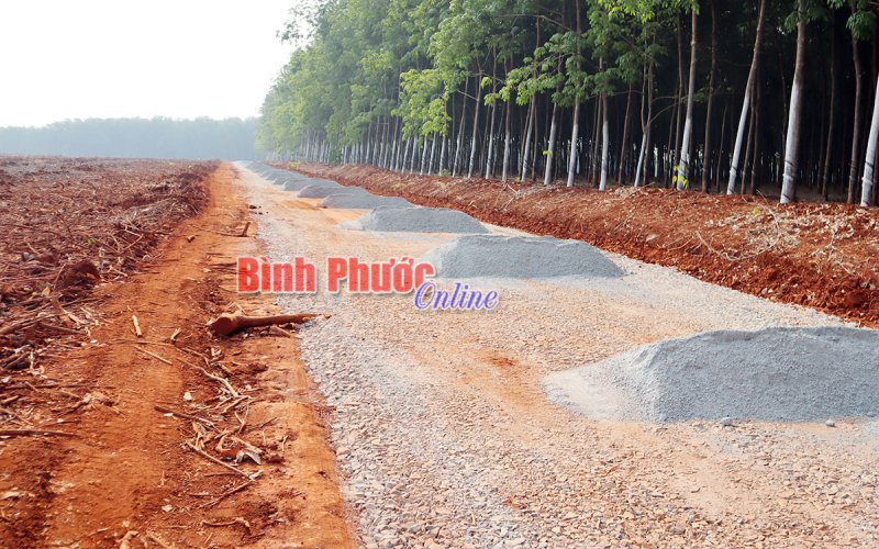 Đồng Xoài phá dỡ 2km đường giao thông xây dựng trái phép