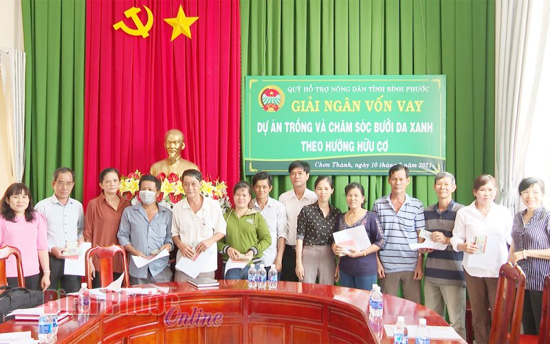 Giải ngân 700 triệu đồng đầu tư dự án trồng và chăm sóc bưởi da xanh hữu cơ