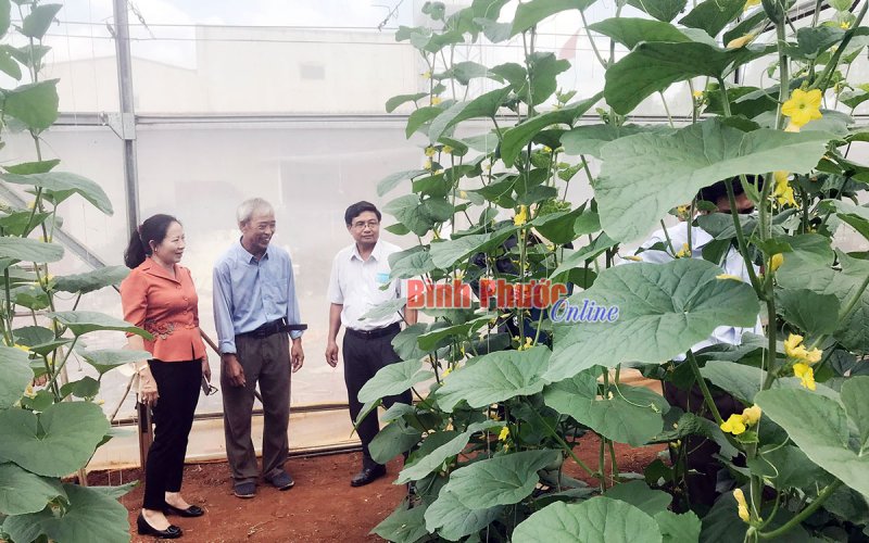 Gỡ “nút thắt” để HTX phát triển bền vững