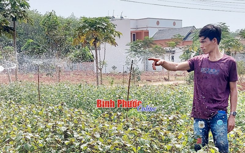 Hiệu quả kép từ tưới tiết kiệm