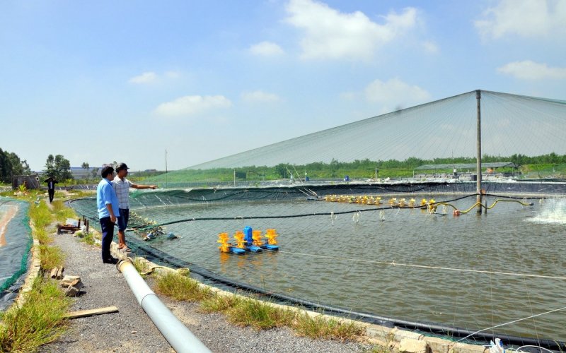 Nâng cao giá trị sản xuất nông nghiệp nhờ ứng dụng KHCN