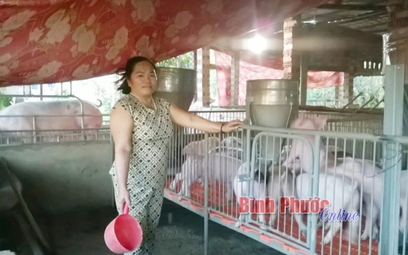 Người phụ nữ làm kinh tế giỏi, giàu lòng nhân ái