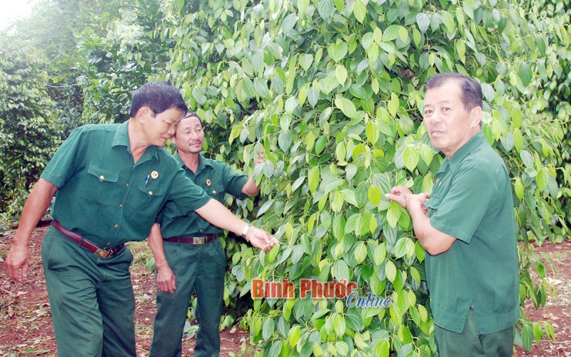 Người thương binh làm kinh tế giỏi, giàu lòng nhân ái