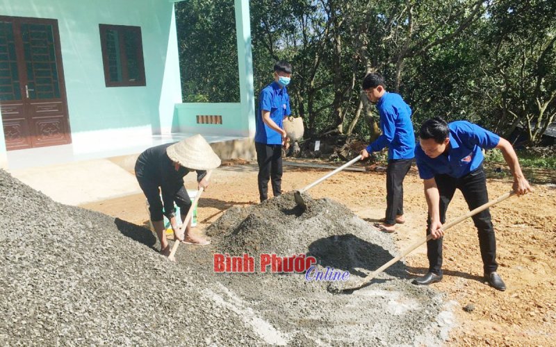 Thanh niên xung kích đổi mới vùng quê