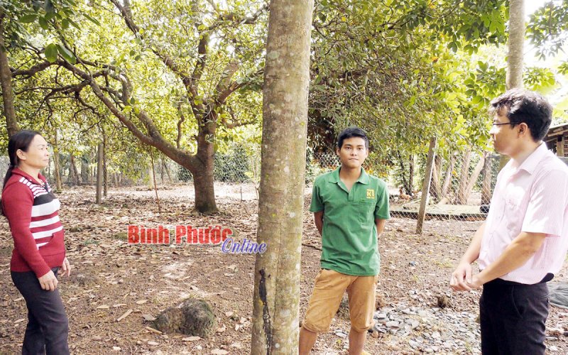 Tiếp tục giải ngân chương trình tín dụng đối với hộ mới thoát nghèo