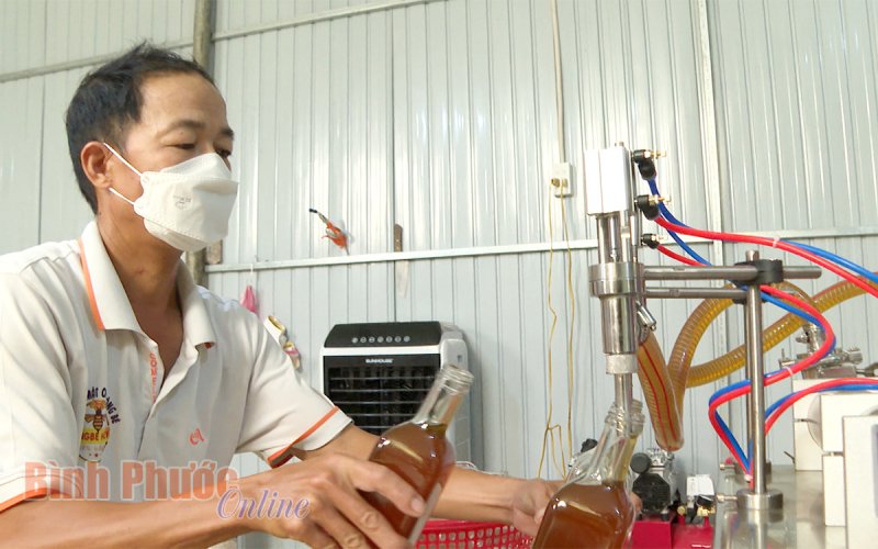 Để nuôi ong lấy mật phát triển xứng tầm