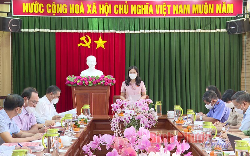 Đoàn ĐBQH tỉnh giám sát công tác tiếp công dân, giải quyết khiếu nại, tố cáo 