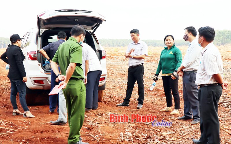 Đồng Xoài tạm dừng tách thửa đối với các thửa đất nông nghiệp