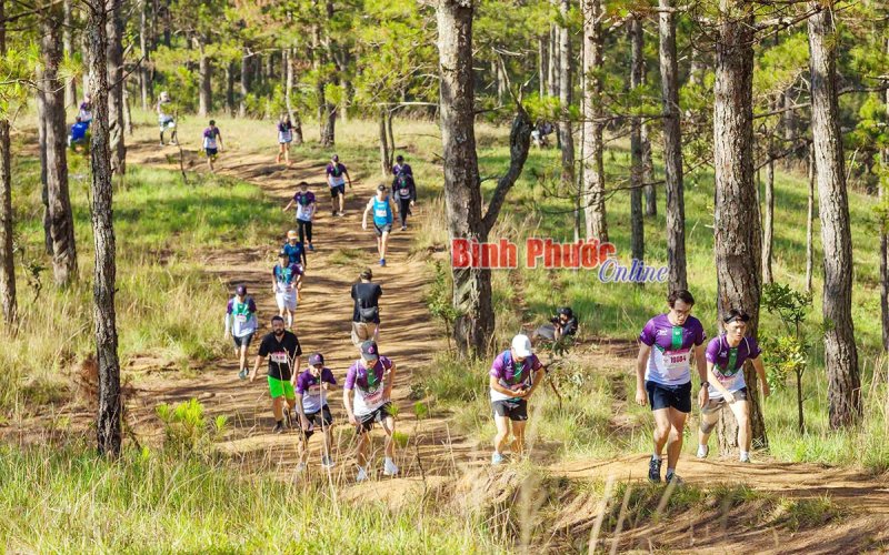 Kết thúc giải DaLat Ultra Trail và DaLat Victory Challenge 2022